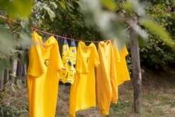 Easy Camp Eclipse 300 Tunneltent - 3 Persoons - Groen 17 Easy Camp Eclipse 300 Tunneltent - 3 Persoons - Groen -Outwell Winkel 1267 1900 waslijn 1