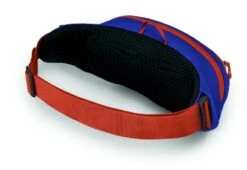 Osprey Daylite Heuptas - Blauw/Oranje 11 Osprey Daylite Heuptas - Blauw/Oranje -Outwell Winkel 1900 1425 daylitewaist s23 sideback silverliningblueberry 10005144