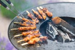 RedFire ONYX Classic Vuurschaal Bbq - 80 Cm 19 RedFire ONYX Classic Vuurschaal Bbq - 80 Cm -Outwell Winkel 85208 lifestyle 06 1