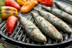 CADAC Grillo Chef 40 Gasbarbecue - BBQ/Chef Pan 23 CADAC Grillo Chef 40 Gasbarbecue - BBQ/Chef Pan -Outwell Winkel 900 1348 grillo chef 40 bbq grid