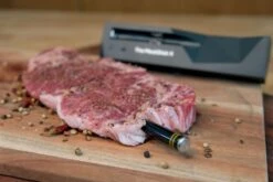 The Meatstick Thermometer -Outwell Winkel 900 1350 0850014644024 5