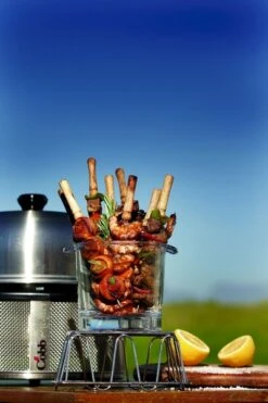 Cobb Premier Houtskoolbarbecue - Grijs -Outwell Winkel cobb premier 3 2